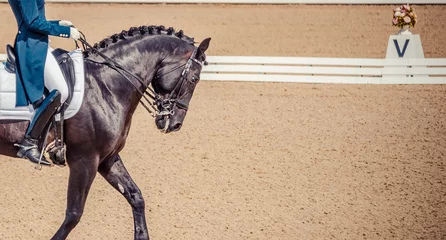 Photo sur Plexiglas Léquitation Black horse portrait during dressage competition. Dressage horse and rider. Advanced dressage test. 
