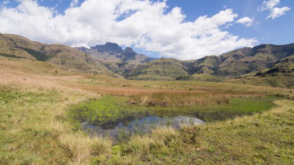 Fototapeta na wymiar Landscape of wetland in the Central Drakensberg. 