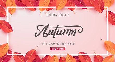 Autumn sale background layout decorate with leaves for shopping sale or promo poster and frame leaflet or web banner.Vector illustration template.