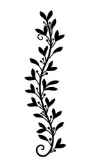 Fototapeta premium Olive Plant