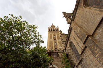 Seville Cathedral and the Giralda views from the garden of the Oranges