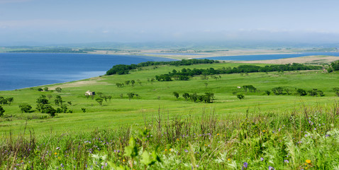 Summer meadow and sea panoramic view