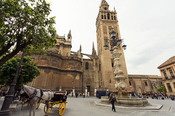 Naklejka na ściany i meble The Cathedral of Seville with the Giralda views from Piazza Virgen de los Reyes