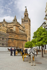 Naklejka premium The Cathedral of Seville with the Giralda views from Piazza Virgen de los Reyes