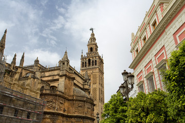 Fototapeta premium The Cathedral of Seville with the Giralda views from Piazza Virgen de los Reyes