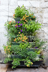 Fototapeta na wymiar Ornamental plants on a wall display outdoors