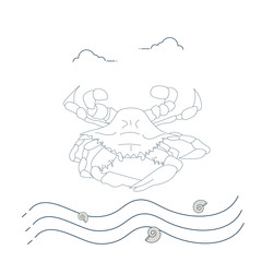 Line Art Vector Illustration: Korean Flower Crab, known as Rajungan or Alimasag.