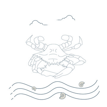 Line Art Vector Illustration: Korean Flower Crab, known as Rajungan or Alimasag.