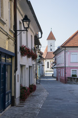 Fototapeta na wymiar Street leading to the St. Bostjan, Fabijan and Rok church in Kranj