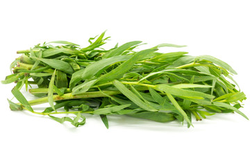 Tarragon
