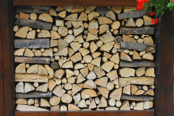 woodpile in mountain