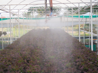 Nozzle spraying water in hydroponic farm