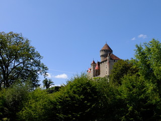 Fototapeta na wymiar Château de MONTROTTIER-74330 Lovagny