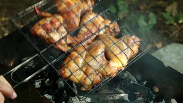 Fried chicken wings on the coals. Picnic, barbecue, grill.
