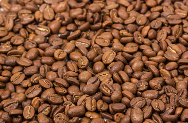 Coffee texture. coffee beans as background wallpaper. arabica cofee bean