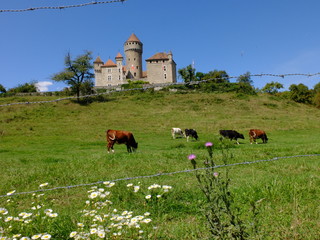 Ch&acirc;teau de MONTROTTIER-74330 Lovagny