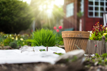 Garden in sunny day with beautiful flowers in background