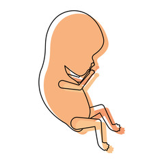 watercolor painted silhouette of side view fetal growth a few weeks