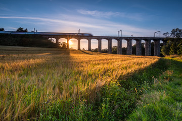 Train on River Aln Viaduct / A golden crop of barley below the railway viaduct with motion blurred...