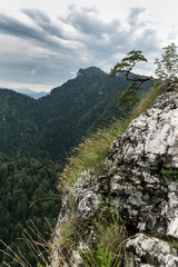 Sokolica Peak in Pieniny, Poland, Poland landscape, Pieniny mountains   © wip-studio