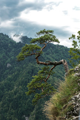 Sokolica Peak in Pieniny, Poland, Poland landscape, Pieniny mountains   © wip-studio