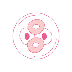 pink silhouette of front view division of the ovule in cells