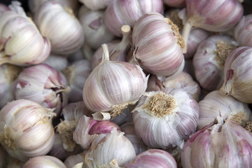 White Garlic Background on Food Market Stall, Santiago de Compostela