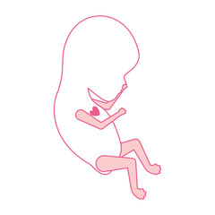 pink silhouette of side view fetal growth a few weeks with active heart
