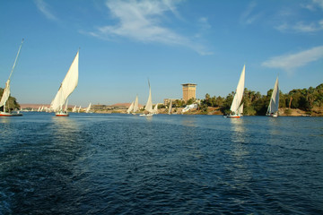 Sailboats on Nile river, Aswan, Egypt, North Africa, Africa