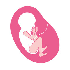 pink silhouette of side view fetus human growth in placenta ninth month