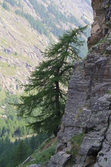 randonnée dans le grand Paradis, Italie