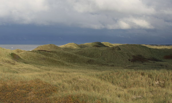 Duenenlandschaft an der Nordsee