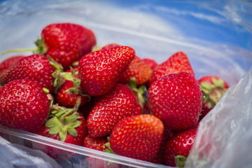 Strawberry