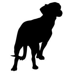Toy Fox terrier dog silhouette on a white background