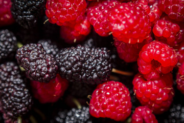 Background of berries