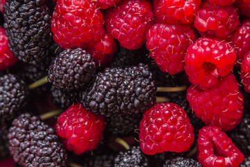 Background of berries
