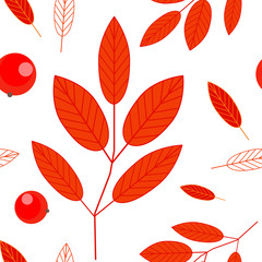 Seamless pattern of berries and red leaves of mountain ash on a white background. Ashberry. Autumn background. Vector