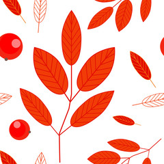 Obraz premium Seamless pattern of berries and red leaves of mountain ash on a white background. Ashberry. Autumn background. Vector