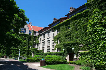 University of Chicago in summer, IL,