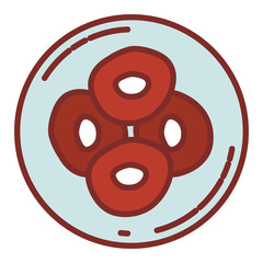 color silhouette with thick contour of front view division of the ovule in cells