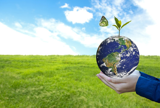 Green world with butterfly and leave in man hand, green background, Earth image provided by Nasa.