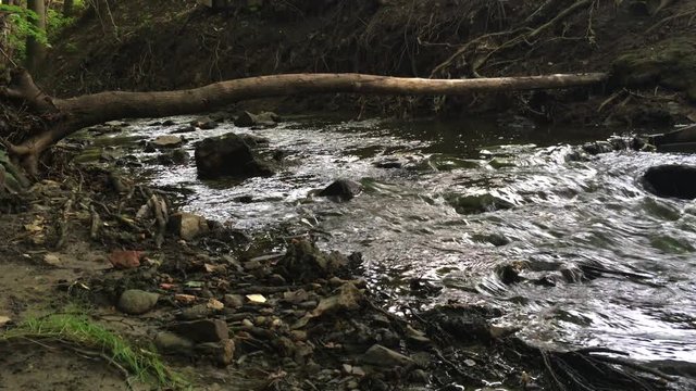 Small weir in forest stream /spring. Ideal for your ecology / environment projects. 4K 30fps