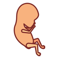 Obraz premium color silhouette with thick contour of side view fetal growth a few weeks