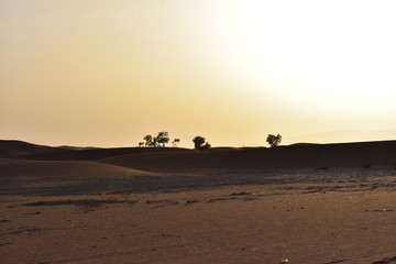 Fototapeta na wymiar SOLEIL COUCHANT SUR LES DUNES DU SAHARA, MAROC