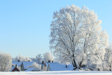 Baum im blauen Winterhimmel