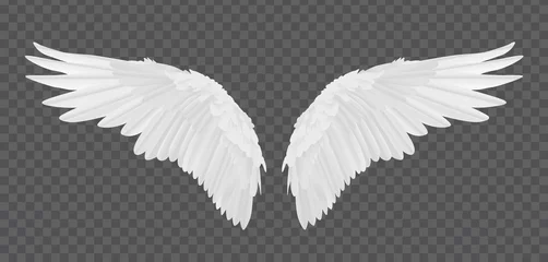 Foto op Plexiglas Vector realistic angel wings isolated on transparent background © Kateina
