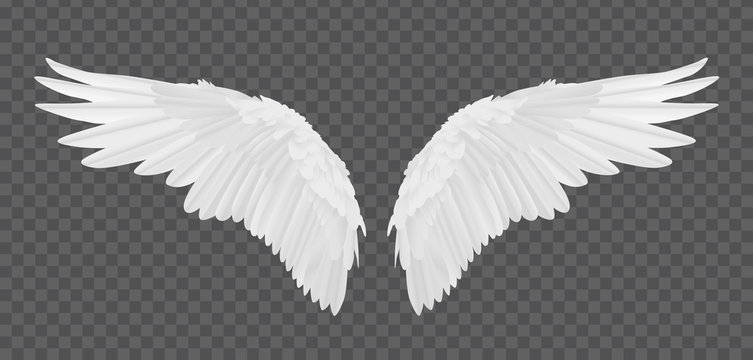 Angel Wings Transparent Images – Browse 3,615 Stock Photos, Vectors, and  Video | Adobe Stock