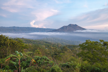 Kintamani volcano in the morning, viewed from Penelokan is a popular sightseeing destination in Bali's central highlands, Indonesia.