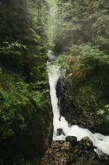 waterfall on natural gorge stream, wilderness landscape with lush vegetation in forest