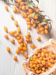 the sea buckthorn berries scattered on the white boards